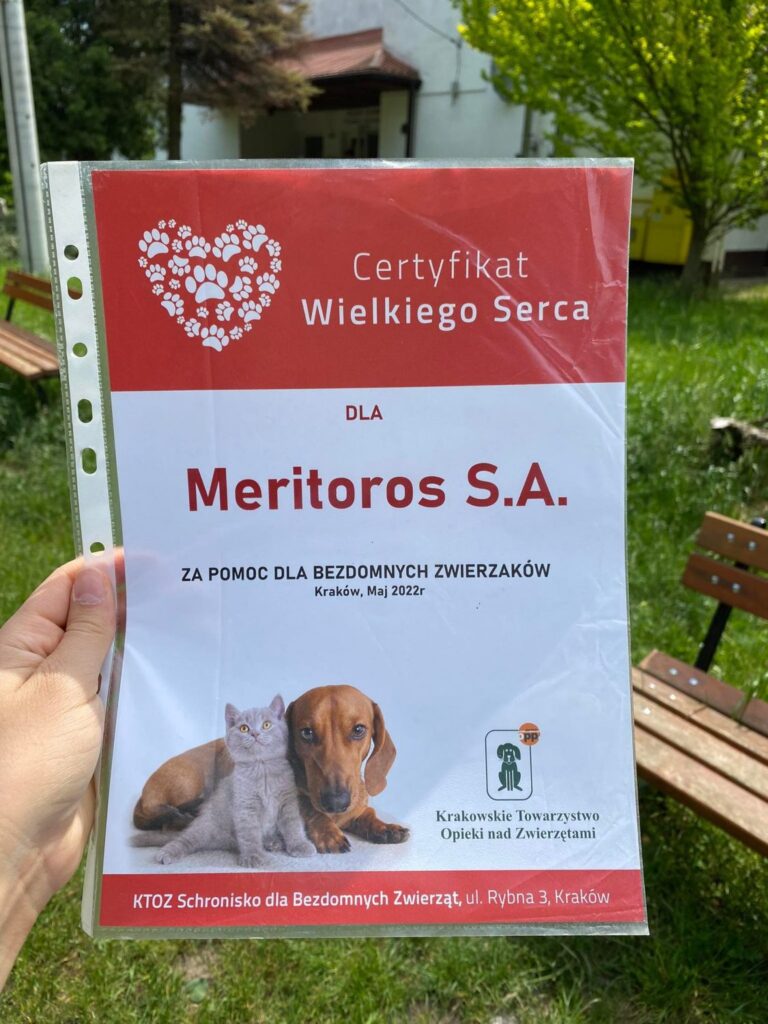 Wolontariat w schronisku KTOZ